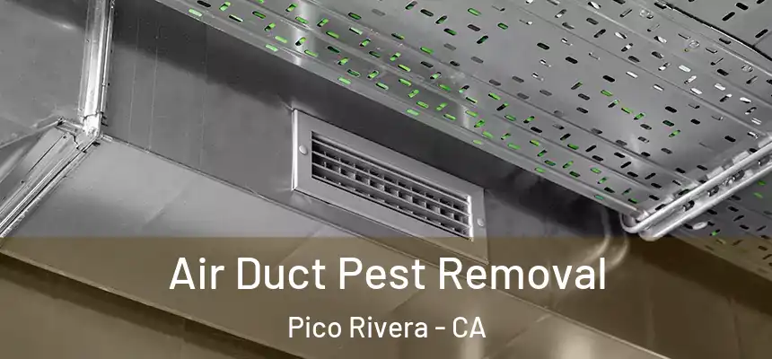 Air Duct Pest Removal Pico Rivera - CA