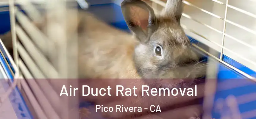 Air Duct Rat Removal Pico Rivera - CA
