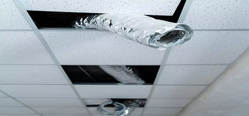 Affordable HVAC Sanitizing After Pest Removal in Pico Rivera