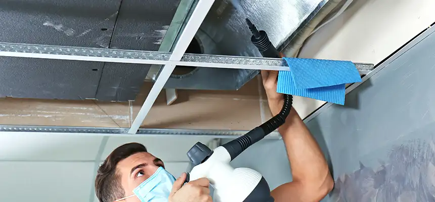 Our Air Duct Rodent Removal Services in Pico Rivera, CA