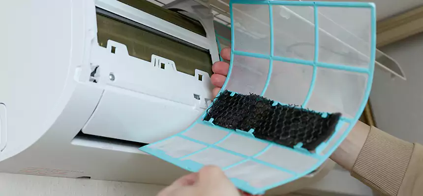 Gentle Ductwork Odor-Control Pet Dander Duct Cleaning in Pico Rivera, CA