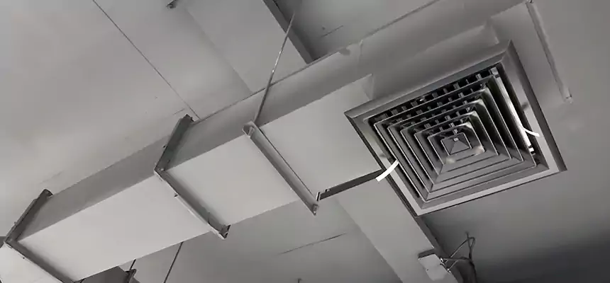 Our Rodent Droppings In Vents Services in Pico Rivera, CA