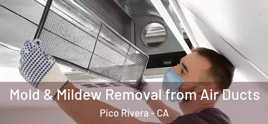 Mold & Mildew Removal from Air Ducts Pico Rivera - CA