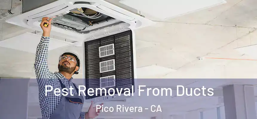 Pest Removal From Ducts Pico Rivera - CA