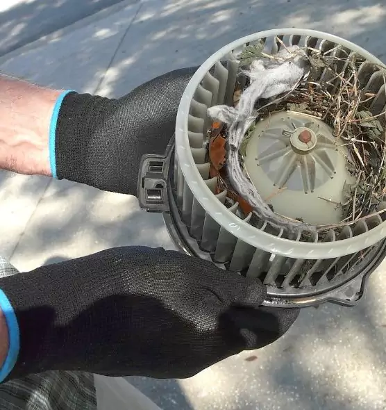 About Air Duct Mice Removal in Pico Rivera, CA