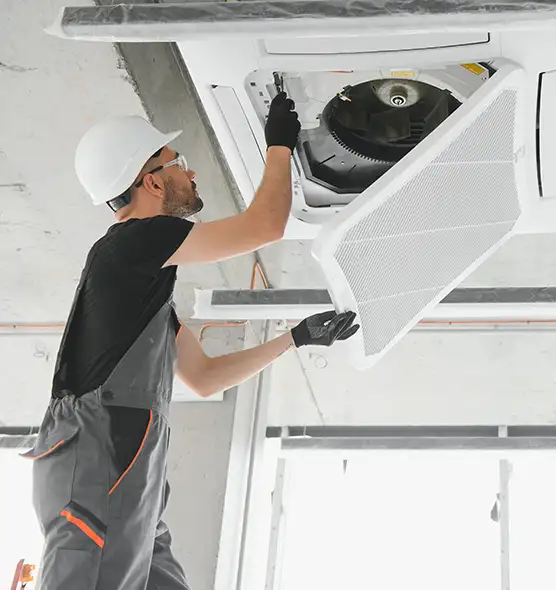 About Air Duct Rodent Removal in Pico Rivera, CA