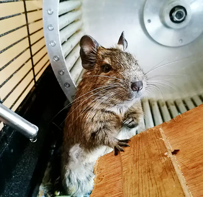 Why Homeowners & Businesses Trust Us Pico Rivera, CA?