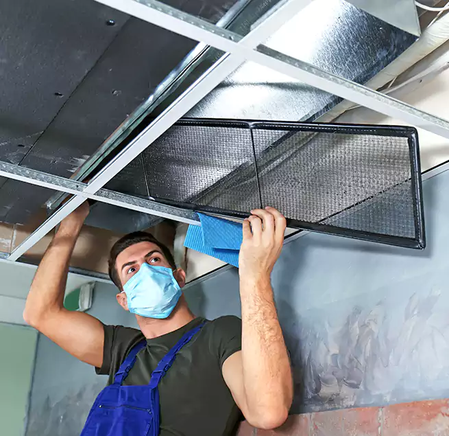 Why Homeowners Businesses Trust Us in Pico Rivera, CA