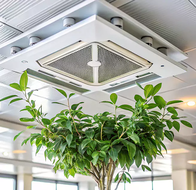 Why Homeowners & Businesses Trust Us in Pico Rivera, CA